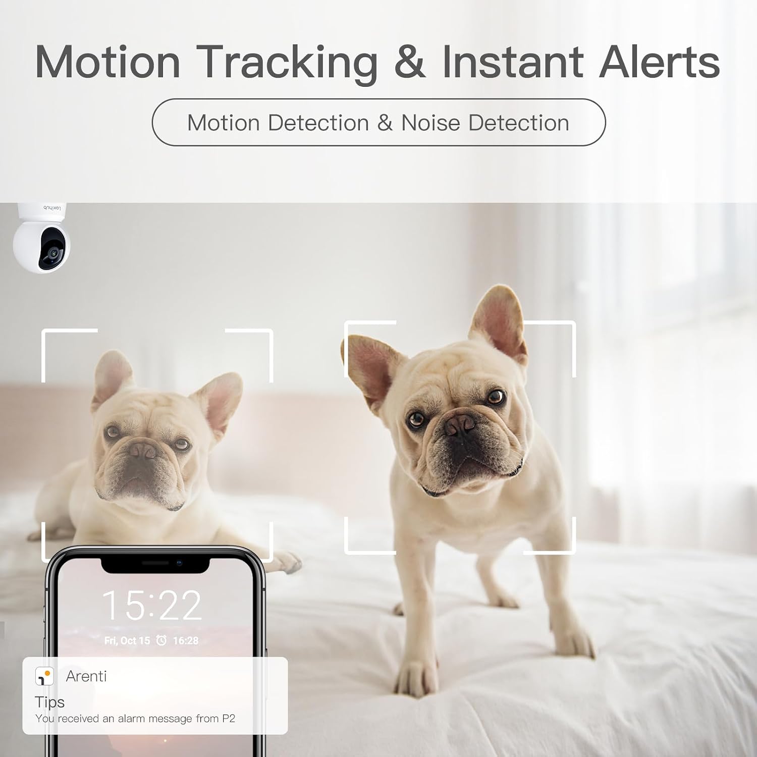 360° View 2K Pet Camera with Phone App 2 Pack, Indoor Security Camera, Baby Monitor, Motion Tracking, Pan/Tilt, Night Vision, Two-Way Audio, Works with Alexa, 2.4G WiFi Only (P2T 2PC) - pokema360° View 2K Pet Camera with Phone App 2 Pack, Indoor Security Camera, Baby Monitor, Motion Tracking, Pan/Tilt, Night Vision, Two-Way Audio, Works with Alexa, 2.4G WiFi Only (P2T 2PC)