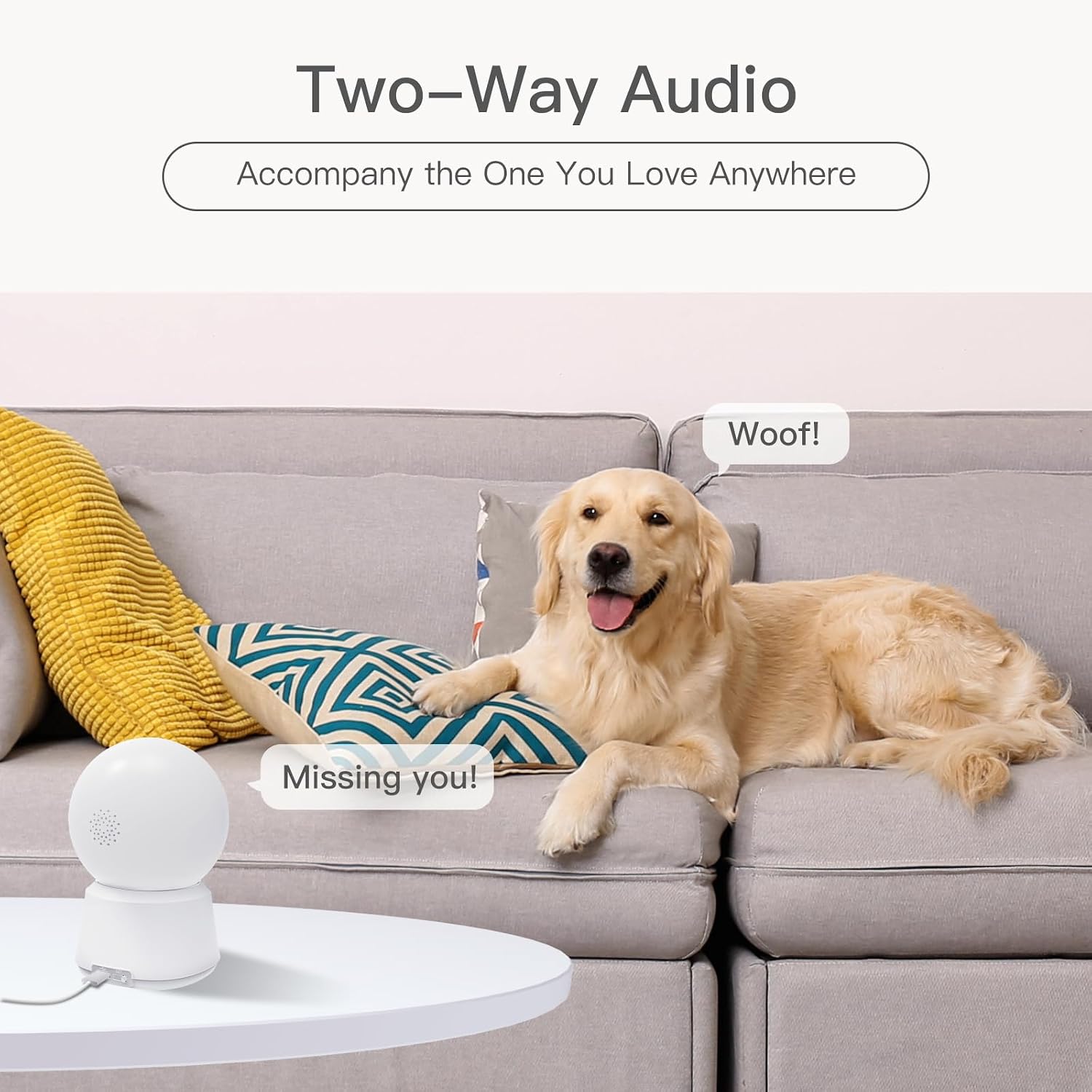 360° View 2K Pet Camera with Phone App 2 Pack, Indoor Security Camera, Baby Monitor, Motion Tracking, Pan/Tilt, Night Vision, Two-Way Audio, Works with Alexa, 2.4G WiFi Only (P2T 2PC) - pokema360° View 2K Pet Camera with Phone App 2 Pack, Indoor Security Camera, Baby Monitor, Motion Tracking, Pan/Tilt, Night Vision, Two-Way Audio, Works with Alexa, 2.4G WiFi Only (P2T 2PC)