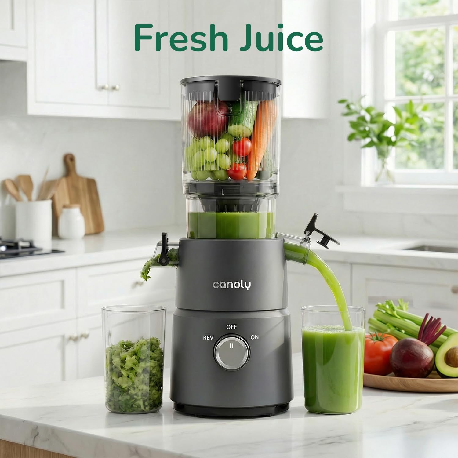 Canoly C03 Cold Press Juicer, 4.5" Wide Feed Chute Juicer Machine with 200W AC Motor, Fit Whole Vegetables & Fruits, 2-in-1 Strainer (Juice & Nut Milk Maker), Space-saving, Easy to Clean, Deep Gray - pokemaCanoly C03 Cold Press Juicer, 4.5" Wide Feed Chute Juicer Machine with 200W AC Motor, Fit Whole Vegetables & Fruits, 2-in-1 Strainer (Juice & Nut Milk Maker), Space-saving, Easy to Clean, Deep Gray