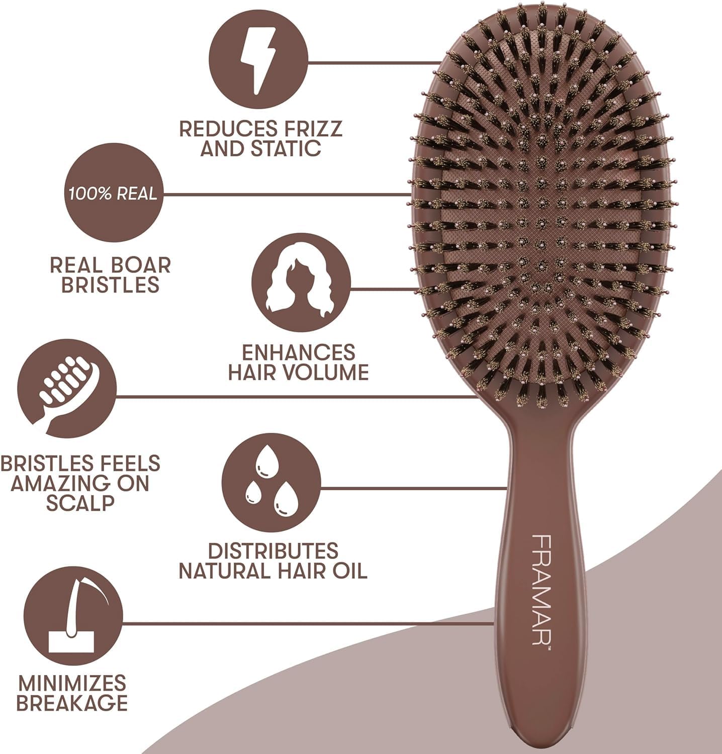 FRAMAR Boar Bristle Hair Brush – Slick Back Hair Brush For Women, Boar Bristle Brush, Slick Back Brush, Hairbrush Women, Brosse a Cheveux, Boar Brush For Volume and Shine – Chocolate - pokemaFRAMAR Boar Bristle Hair Brush – Slick Back Hair Brush For Women, Boar Bristle Brush, Slick Back Brush, Hairbrush Women, Brosse a Cheveux, Boar Brush For Volume and Shine – Chocolate