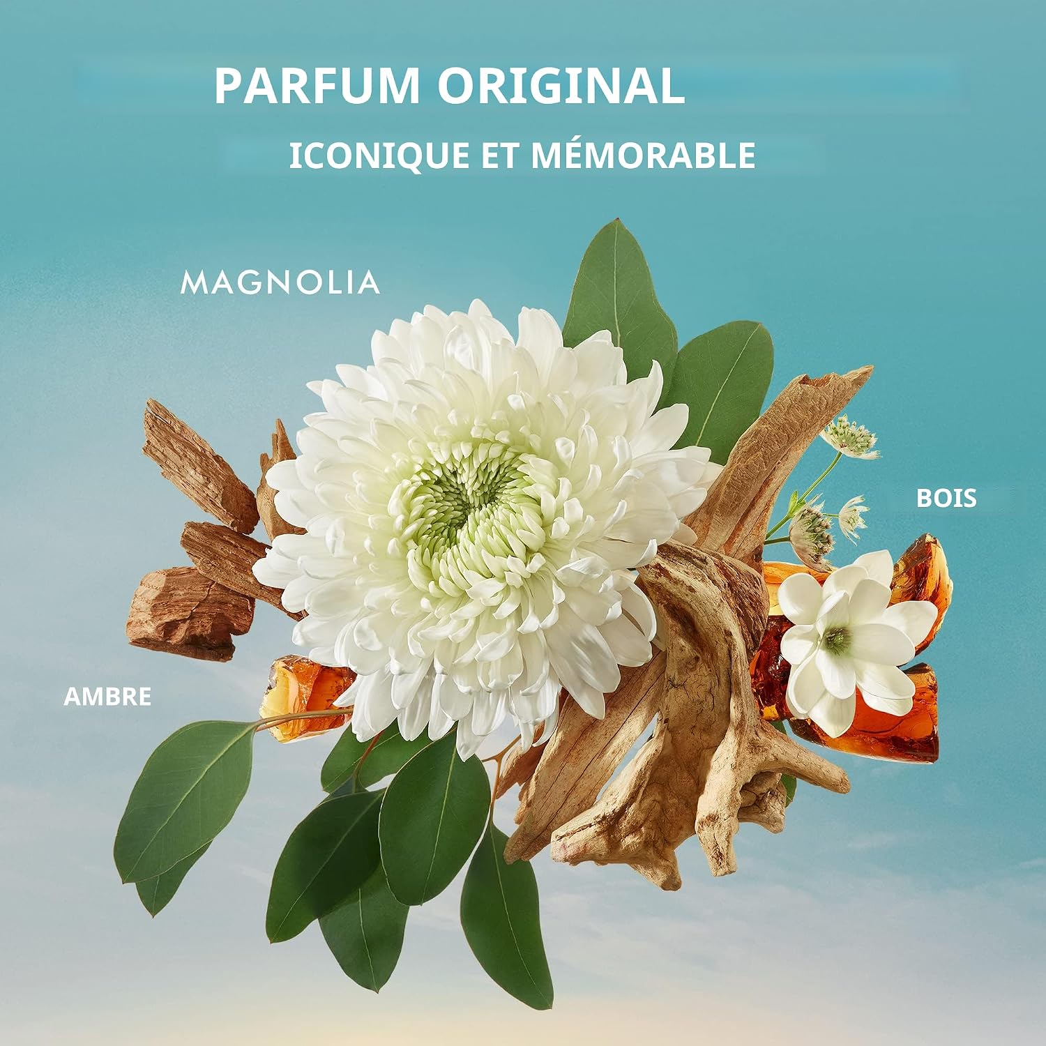 Moroccanoil Mini incontournables - Ensemble d'échantillons de luxe - pokemaMoroccanoil Mini incontournables - Ensemble d'échantillons de luxe