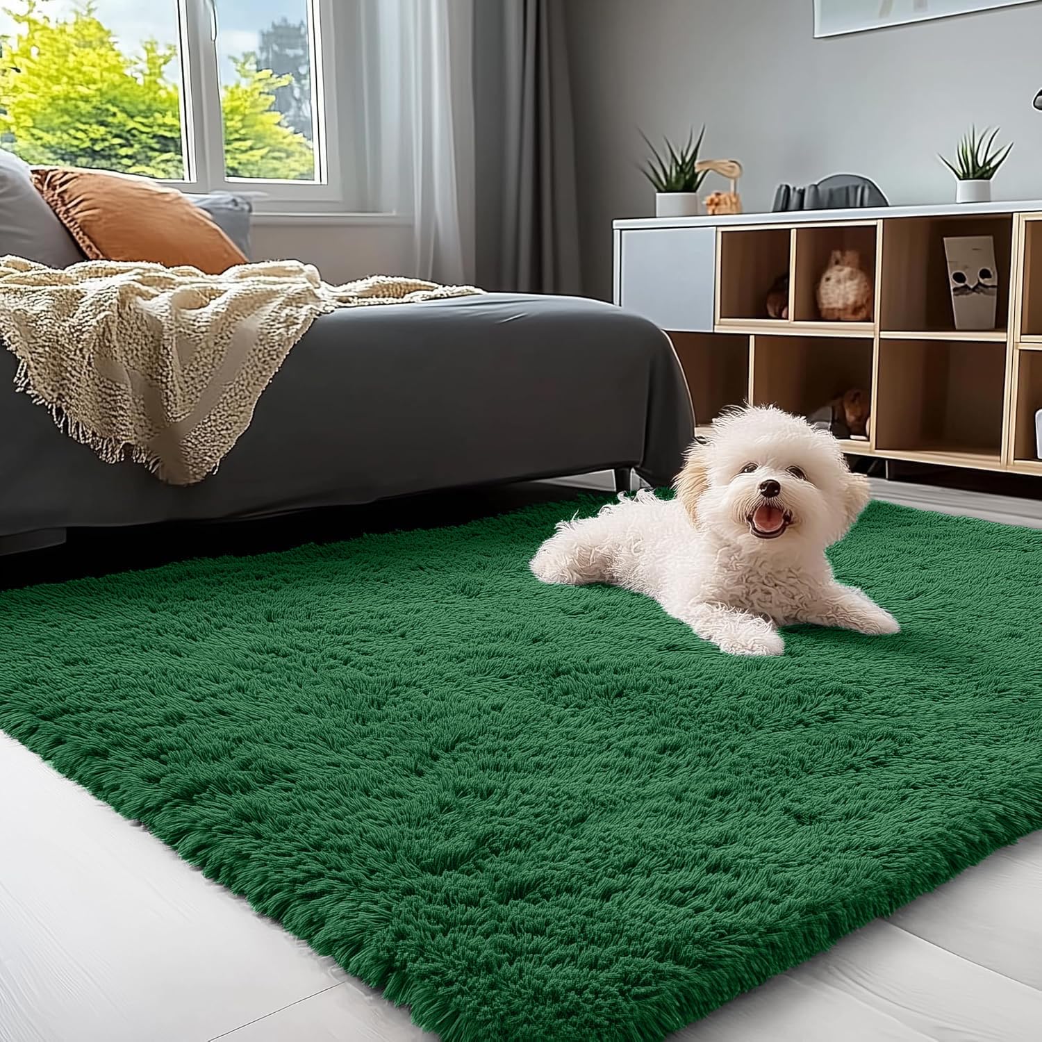 OLANLY Fluffy Area Rug for Living Room Bedroom, 5x8 Feet Soft Shaggy Non-Slip Carpet, Indoor Modern Plush Area Rugs for Kids Girls and Boys, Dorms, Nursery Rooms, Home Decor, Coffee - pokemaOLANLY Fluffy Area Rug for Living Room Bedroom, 5x8 Feet Soft Shaggy Non-Slip Carpet, Indoor Modern Plush Area Rugs for Kids Girls and Boys, Dorms, Nursery Rooms, Home Decor, Coffee