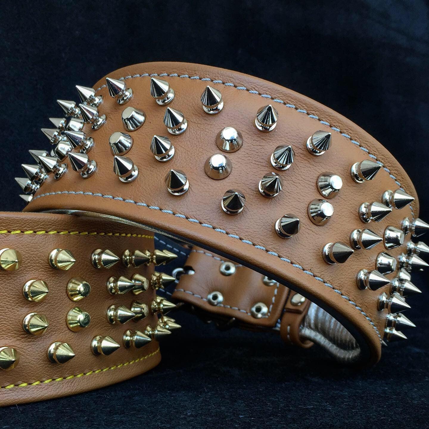 The "Crown" collar - pokemaThe "Crown" collar