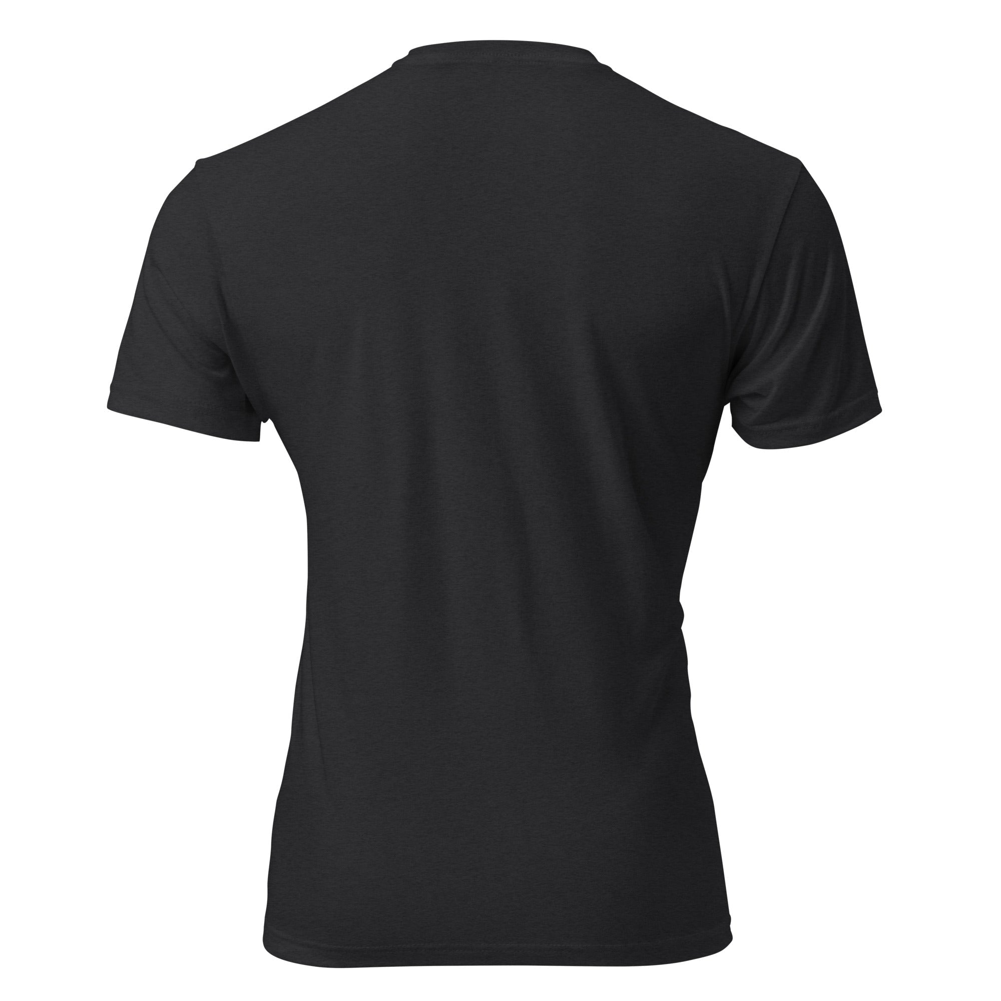 Unisex Fitted T-Shirt - Next Level 6210 - pokemaProduct mockup
